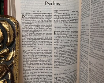 レッド・ナイツ・テンプル騎士団の聖書 - フリーメイソンの書籍