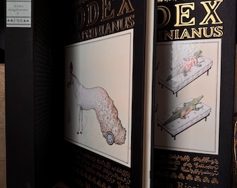 Codex Seraphinianus, door Luigi Serafini (beperkt, 1981, gesigneerd en genummerd 1e editie) (in twee delen) - Milaan - Franco Maria Ricci-kunstboek