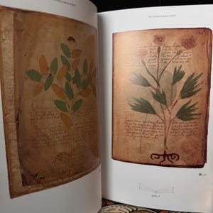 The Voynich Manuscript: The Complete Edition of the World&#39; Most Mysterious and Esoteric Codex - Pagan Druid Wicca Metaphysics Occult