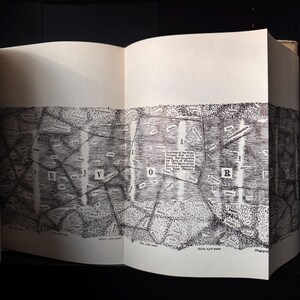 Pu&ograve; includere: Libro aperto con una dettagliata illustrazione di mappa in bianco e nero. La mappa presenta forme geometriche, testo e linee, con le lettere "E", "V" e "R" visibili. Le pagine del libro sono bianco sporco.