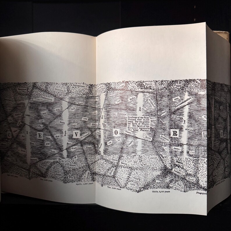 Pu&ograve; includere: Libro aperto con una dettagliata illustrazione di mappa in bianco e nero. La mappa presenta forme geometriche, testo e linee, con le lettere "E", "V" e "R" visibili. Le pagine del libro sono bianco sporco.