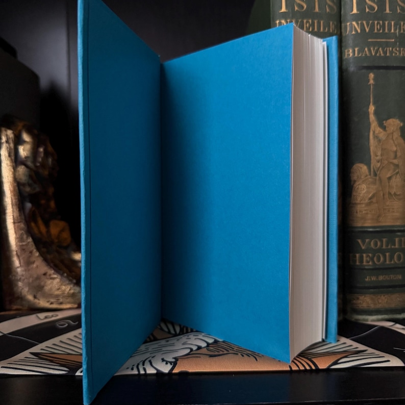 May include: An open book with a bright blue cover and white pages. The book is standing upright, revealing the inside pages. Other books are visible in the background, suggesting a collection or library setting.
