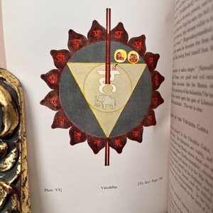 May include: A colourful illustration of a chakra, a spiritual energy centre in the body, with the Sanskrit word "Viśuddha" written below. The chakra is depicted as a triangle with an elephant inside, surrounded by a circle of petals with Sanskrit letters.
