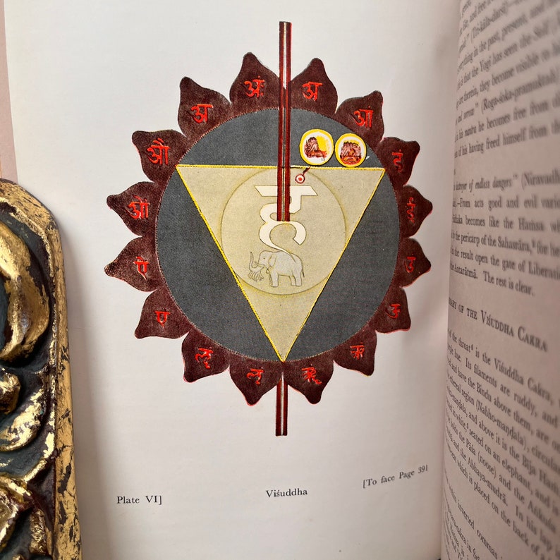 May include: A colourful illustration of a chakra, a spiritual energy centre in the body, with the Sanskrit word "Viśuddha" written below. The chakra is depicted as a triangle with an elephant inside, surrounded by a circle of petals with Sanskrit letters.