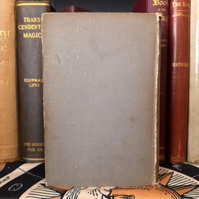 Pu&ograve; includere: Un libro grigio con il titolo "The King of the Hag" e il testo "with plates" sul dorso. Il libro &egrave; su uno scaffale con altri libri.
