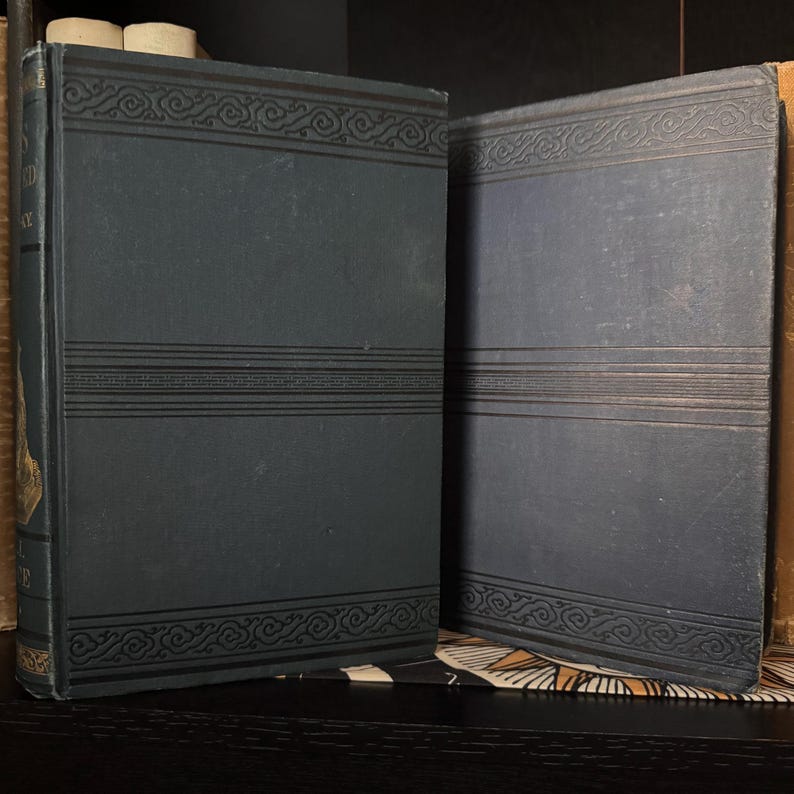 May include: Two antique books with dark blue covers. The covers feature decorative black line designs at the top, middle, and bottom. The books are displayed on a dark surface, suggesting a vintage or historical theme.