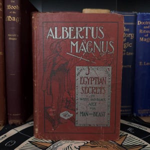 Secretos egipcios de Albertus Magnus - Libros ocultistas raros Hermetismo Antiguo templo pagano Gran grimorio Alquimia esotérica Filosofía natural