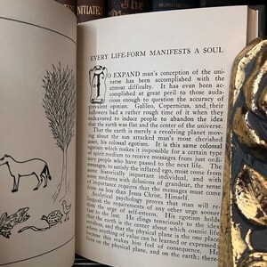 May include: A vintage book with a black and white illustration of a horse and a turtle on the cover. The book's title is "Every Life-Form Manifests a Soul".