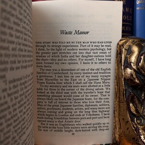 以下が含まれることがあります： 表紙に「Waste Manor」というタイトルが書かれた開かれた本。ページのテキストは、日本の船での男性の旅と、さまざまな文化の人々との出会いを描写している。