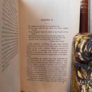 May include: A page from a vintage book with a chapter titled "Chapter VI" and a quote about life being a beautiful song. The text is printed in black ink on white paper. The book is open to a page with a brown leather cover.