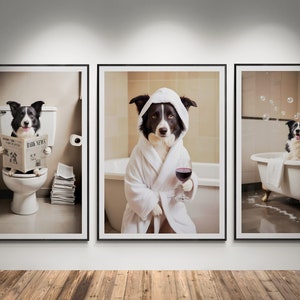 May include: Three framed pictures of a black and white border collie dog in different bathroom settings. The first picture shows the dog sitting on a toilet reading a newspaper titled "Bark News". The second picture shows the dog wearing a white bathrobe and holding a glass of red wine. The third picture shows the dog sitting in a bathtub with bubbles.
