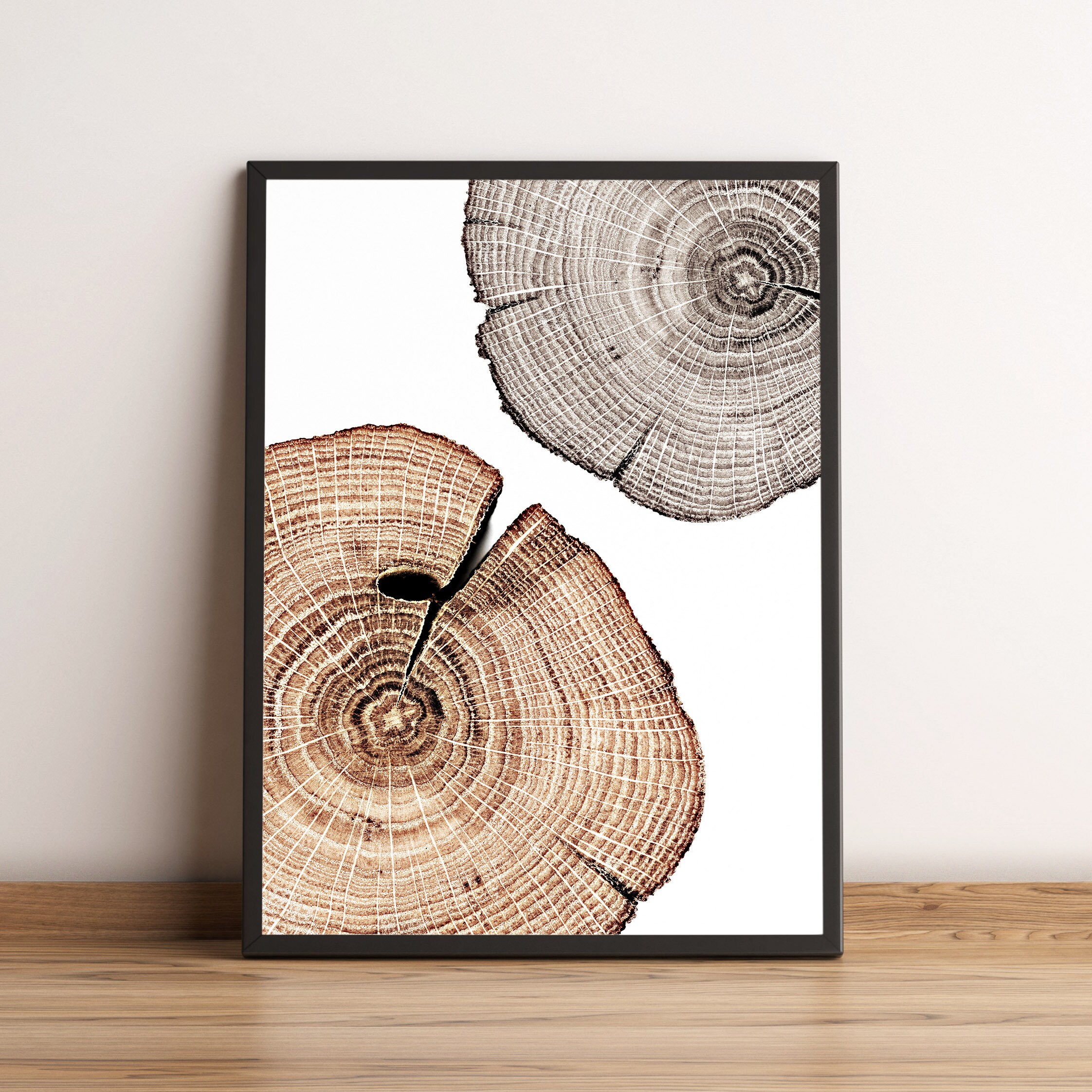 Tree Stump Rings Mural Tree Stump Prints - Gallery Wall Art Variety Set of 5, Boho Wall Art ...