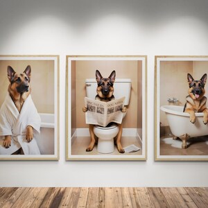 May include: Three framed photographs of a German Shepherd dog in a bathroom setting. The dog is wearing a white bathrobe, reading a newspaper on the toilet, and taking a bath.