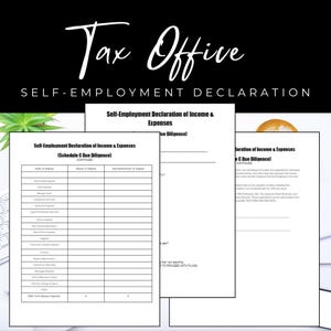 Self-Employment Income & Expenses Form (Digital Download)