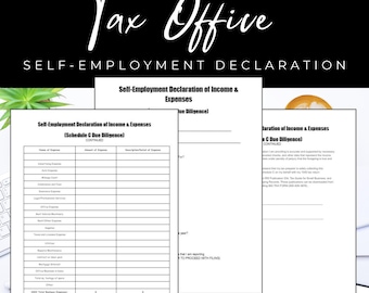 Formulário de Renda e Despesas de Trabalho Autônomo (Download Digital)