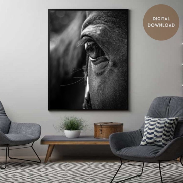 Horse Pictures Animal Picture Contemporary Eclectic Art Designs Printable Wall Art l Printable Abstract Eclectic Bohemian Farm Art Gift