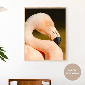 Flamingo Vögel Tier Bild zeitgenössische eklektische Kunst Designs druckbare Wand Kunst l druckbare abstrakte eklektische Boho Bauernhof Kunst Geschenk