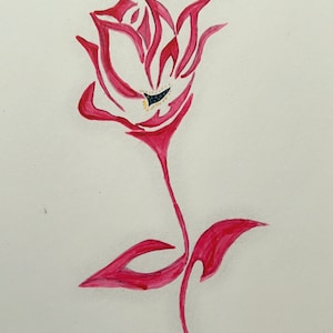 Perennial flower