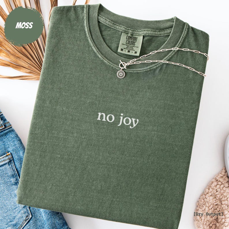 Aviation Shirt, No Joy Minimalist Pilot Tee, Funny Fighter Pilot Humor Gift, Comfort Colors® image 1
