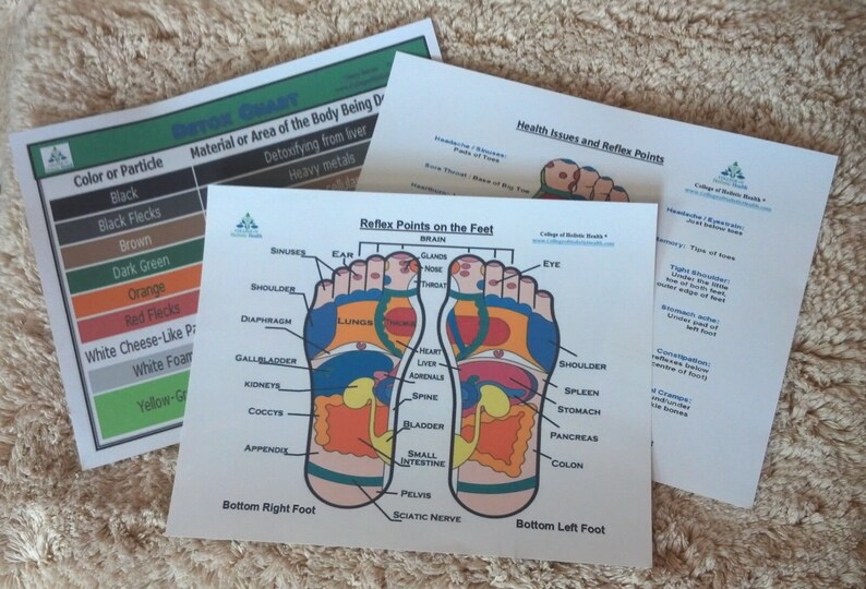Ionic Detox Foot Bath Digital Deluxe Package Single Dualplate