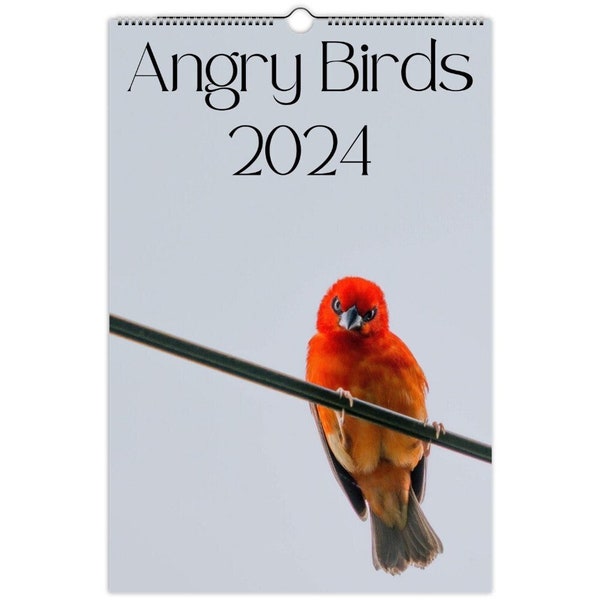Funny Bird Calendar Etsy