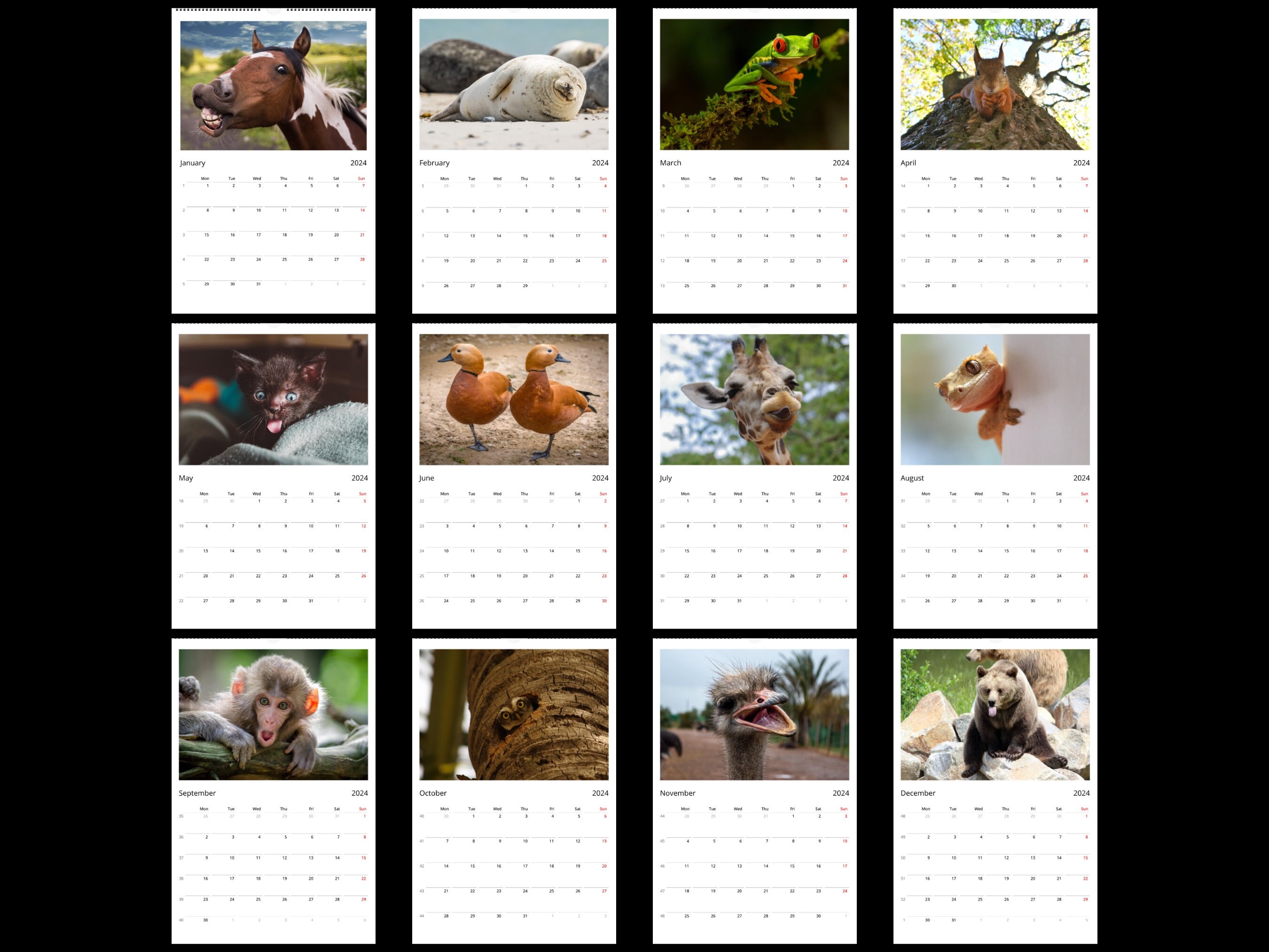 funny-animal-large-wall-calendar-2024-11x16-5-in-goofy-animal-lover
