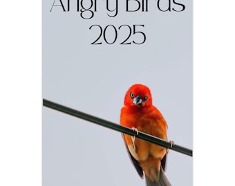 Funny Angry Birds Large Wall Calendar 2025 | 11x16.5 Inch | Bird Lover Gift | Funny Holiday Gift | Gift Exchange | Christmas New Year Gift