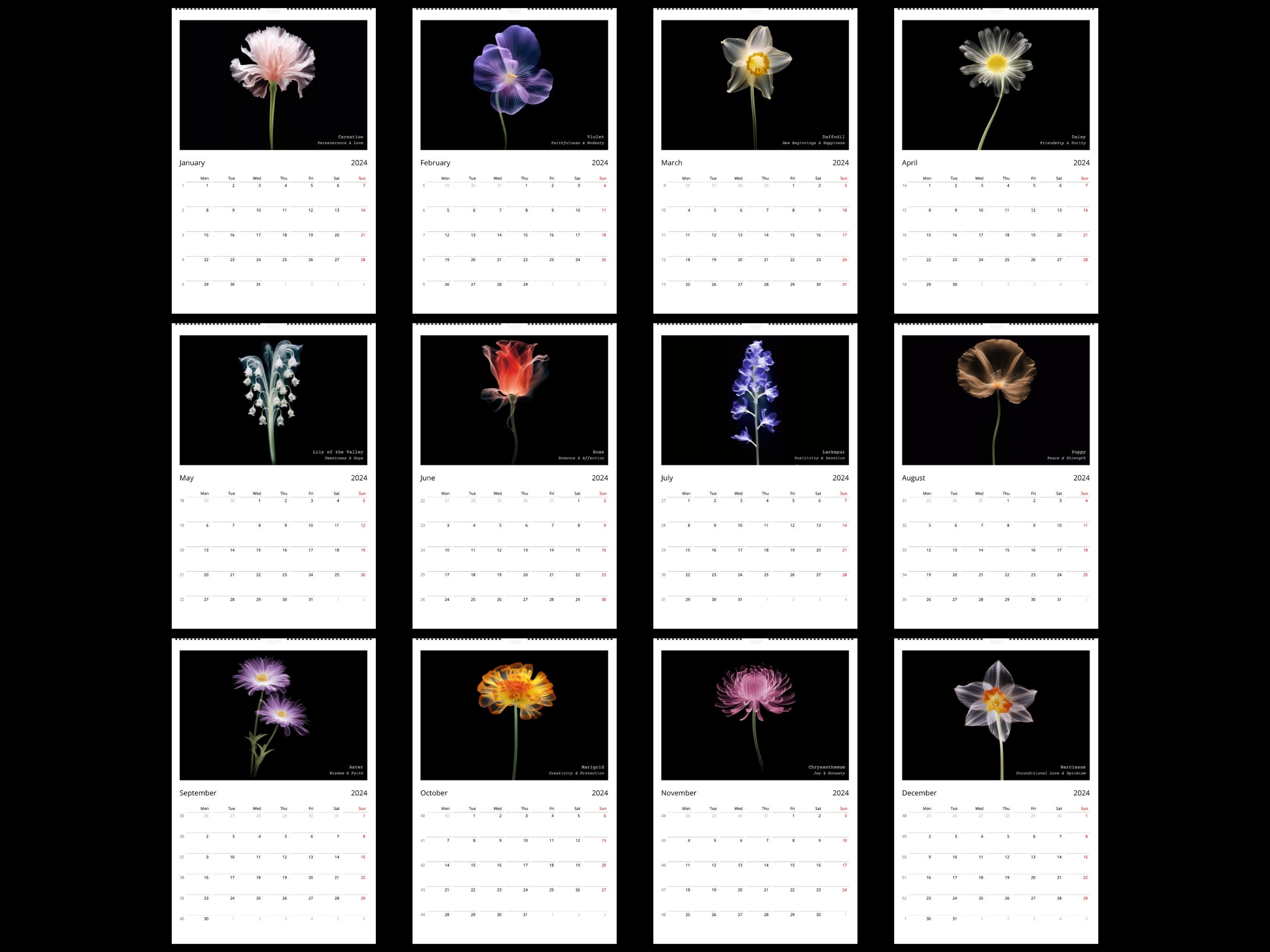 Floral Wall Calendar 2024 Large Birth Month Flowers Calendar Botanical