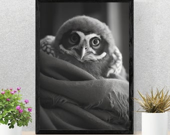 Black and White Owl Baby Animal Print for Nursery Print of Baby Owl Wall Art Baby Decor Kids Art Animal Poster Nursery Animal Portrait Print