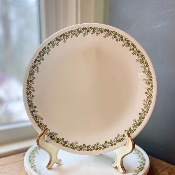 Corelle livingware by corning Crazy Daisy spring blossom Dinner Plates