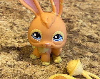 Littlest Pet Shop LPS Bunny with accessories toy