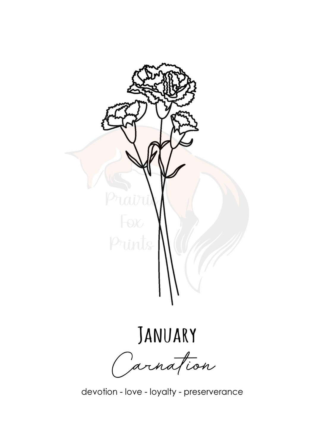 January Carnation Birth Flower Digital Download Etsy