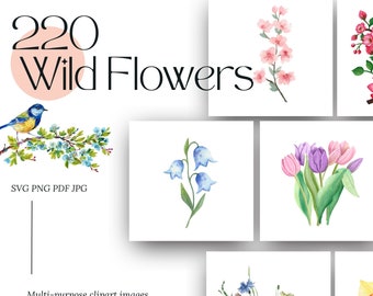 Frosted Sunlace Blooms Digital Clip Art Bundle