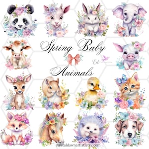 Cute Baby Animals Printable Digital Clipart Bundle Instant Download Designs