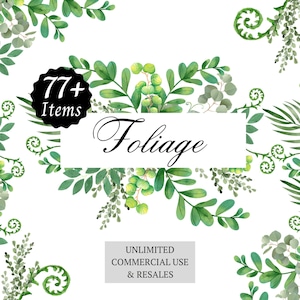 Aquarelle verdure plantes & feuillage Images imprimables Téléchargement instantané numérique Clipart Designs Bundle