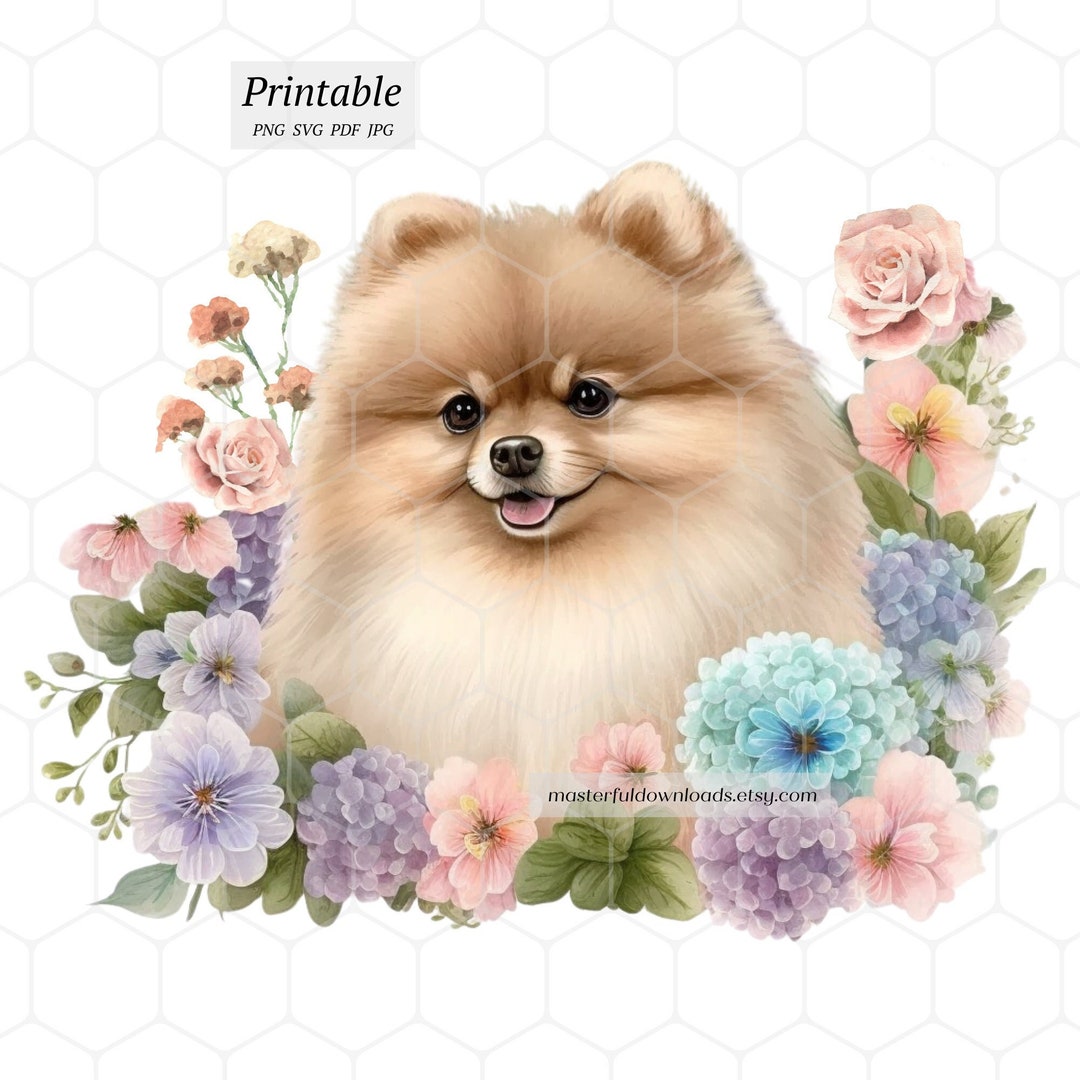 Pomeranian Dog Printable Clipart Image Instant Digital Download Design ...