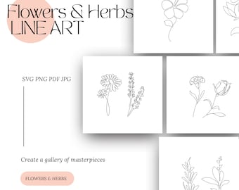 Ilustrações digitais minimalistas de flores e ervas em estilo de linha.