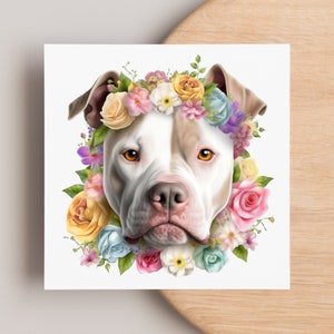May include: A white and tan pit bull terrier wearing a flower crown. The crown is made of various colorful flowers, including roses, daisies, and bluebells.