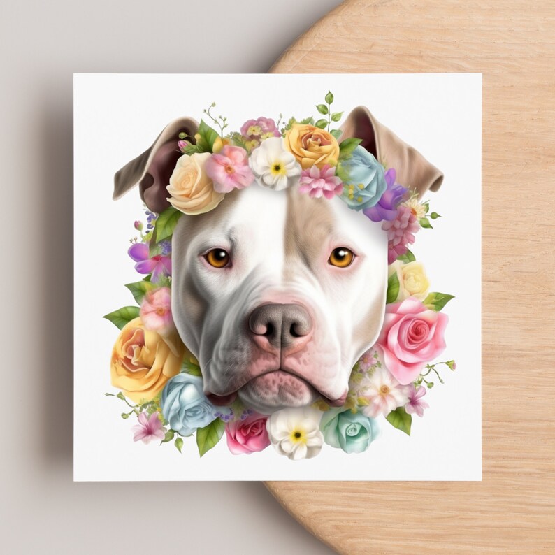 May include: A white and tan pit bull terrier wearing a flower crown. The crown is made of various colorful flowers, including roses, daisies, and bluebells.