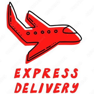 May include: Red airplane cartoon illustration with the text "EXPRESS DELIVERY" in red.