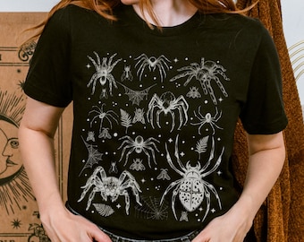 Cottagecore Spider Shirt, Arachnology T-shirt, Insect Lover Gift, Nature Tee, Light Academia, Tarantula Shirt, Dark Academia Clothing