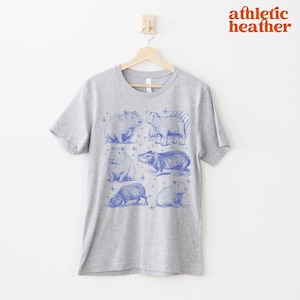 Cute Capybara Shirt, Funny Animal Lover T-Shirt, Animal Lover Gift, Rodent Tee, Trendy Shirt, Monochronic Vintage Shirt
