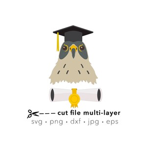 Faucon svg de remise des diplômes, oiseau svg, png faucon, chapeau de remise des diplômes svg, fichier découpé au laser, sublimation, Silhouette et Cricut svg, faucon