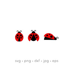 Coccinella in formato SVG, bundle in formato SVG coccinelle, sublimazione della coccinella, file di taglio laser Bug, file di taglio Silhouette, file di taglio Cricut, coccinella stampabile, png, jpg