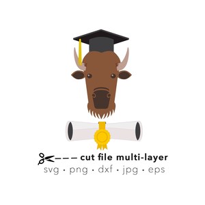 Graduation svg buffalo, buffalo, Graduation cap svg, laser cut file, sublimation, Svg for silhouette, Svg files for Cricut, bison, graduate