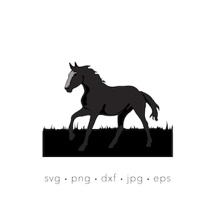 Horse svg,  horse, Cowboy svg, western svg, Farm animal, Silhouette cut file, Cricut cut file, laser cut file, horse silhouette