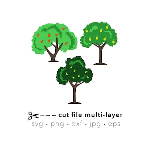 Pacchetto SVG di alberi da frutto, Silhouette SVG, Cricut SVG, PNG di pero, PNG di albero di mele, clipart di albero di limone, taglio laser dxf, PNG di sublimazione digitale