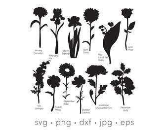 Birth Flowers silhouette svg, Birth Month flower vector art, floral cut files, Silhouette cut file, Cricut Cut file, png, Svg flower bundle