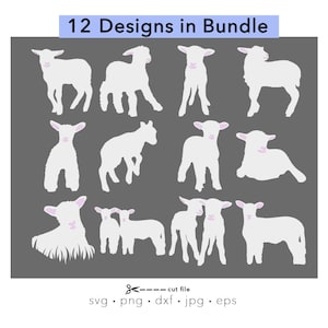 SHEEP SVG, sheep svg bundle, lamb svg, baby lamb vector, sheep silhouette, lamb silhouette cut, snij schaap, Cricut, laser, Easter lamb