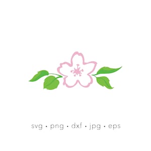Rosa Kirschblüte Blume Umriss svg, Kirschblüte svg, Frühlingsblume svg, Silhouette Schnittdatei, Cricut Schnittdatei, Sakura Blüte png, jpg